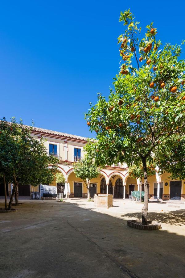 Apartamento Historico Garaje Y Wifi Санлукар-де-Баррамеда Экстерьер фото